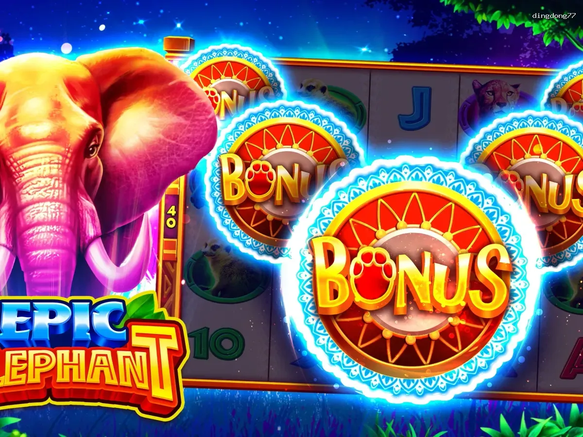 Akses dingdong77 VIP Premium screenshot